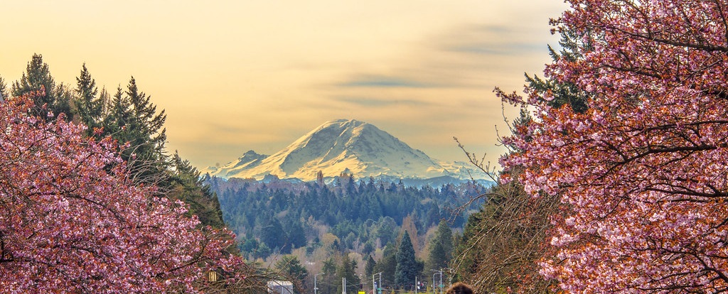 UW Campus and Mountain