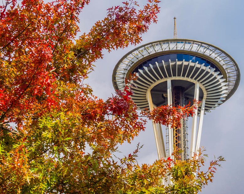 Autumn leaves and space needle